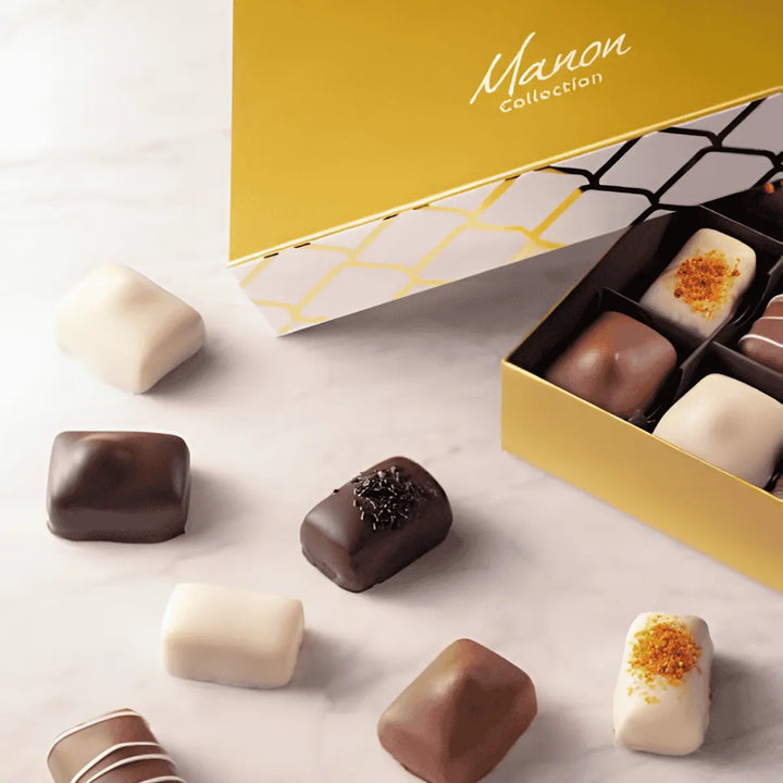 Leonidas Belgium Chocolate Manon Collection Special Gift Box 20pc