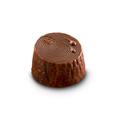 Leonidas Belgian Chocolate Assorted Milk, Dark & White, Autumn Dora 24pc 375g freeshipping - Leonidas Kensington