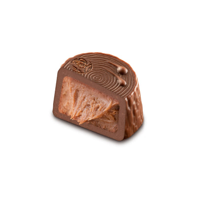 Leonidas Belgian Chocolate Assorted Milk, Dark & White, Autumn Dora 24pc 375g freeshipping - Leonidas Kensington